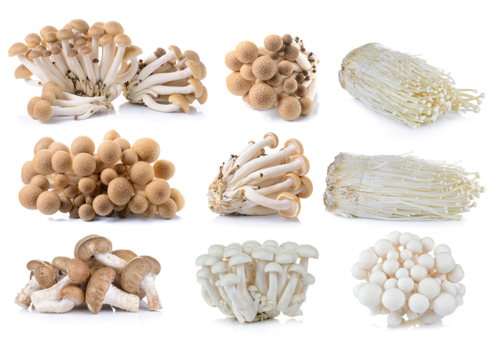 Functional mushrooms